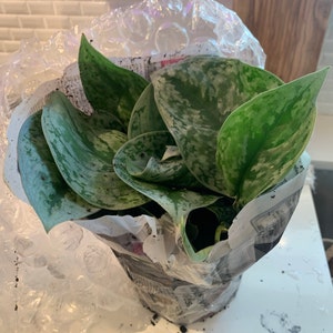 Vanessa Garcia added a photo of their purchase