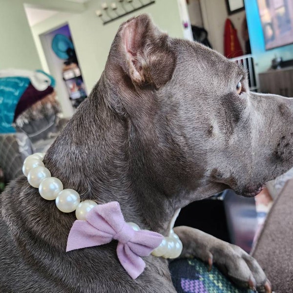 Chain Heavy Duty Dogs Cats Pet Chain Collar Necklace Jewelry