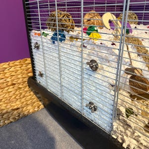 Jesse added a photo of their purchase