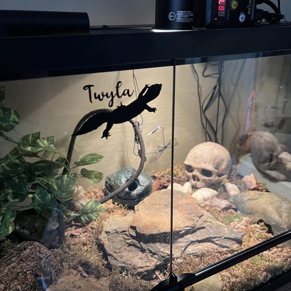 Fresh Look at Printable Critter Tracker Reptile Feeding Tracker