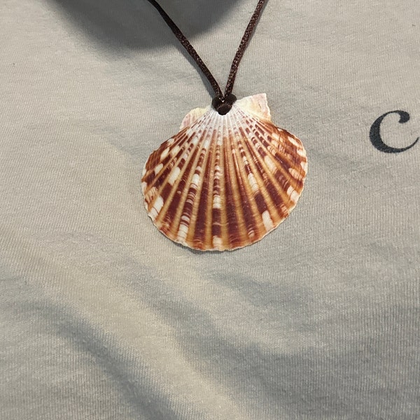 Crawdad Shell Pattern Where the Crawdads Sing Inspired Seashell Necklace - Etsy
