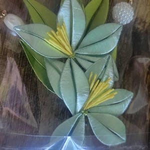 Sushii added a photo of their purchase