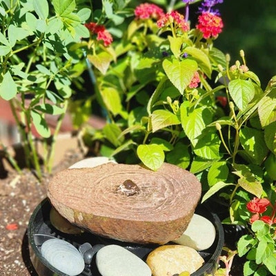 Fountain Basin Bird Bath Fountain Rock Garden Bird Bath Rock Garden