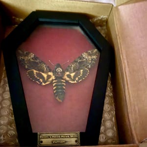 Justin a ajouté une photo de son achat