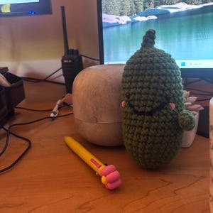 Carman added a photo of their purchase