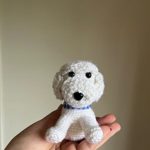 Loreto added a photo of their purchase