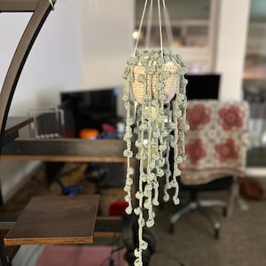 Lilli added a photo of their purchase