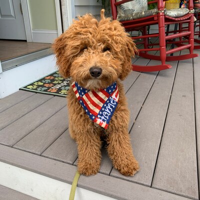 fourth of july hankerchief dresses