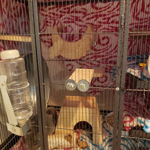 Photo inspiration: Pet Safe Sugar Glider Cage Paint Reference: Chinchilla Wooden Ledges Pine Ledge Cage Assesories Small Pets Kiln