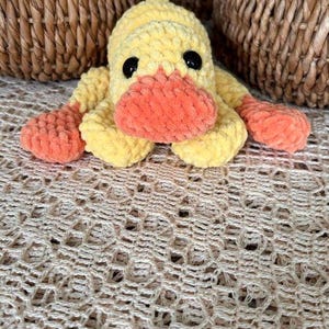Connie added a photo of their purchase