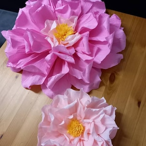 Sandra added a photo of their purchase