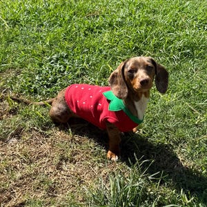 Audrey adicionaram uma foto da sua compra
