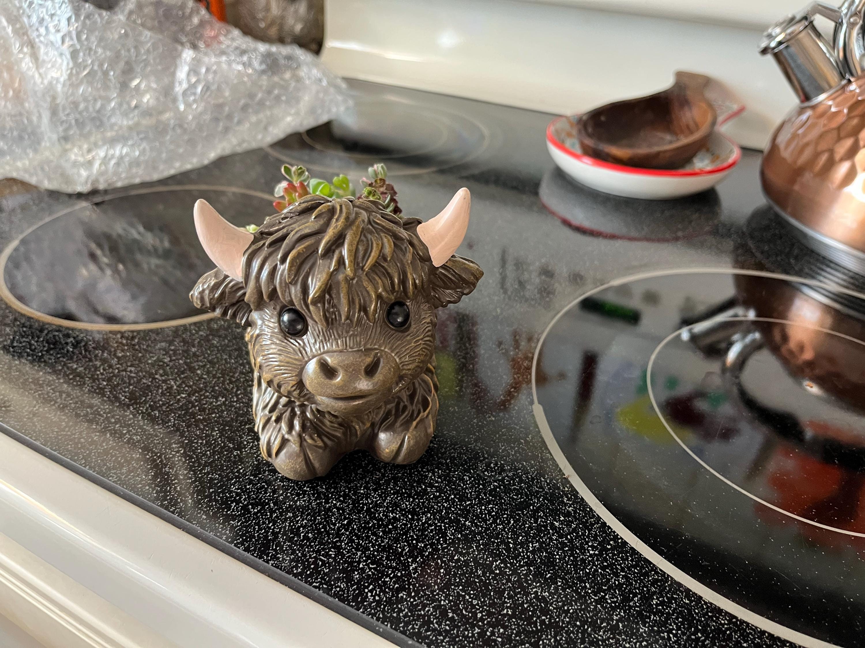 Mini Highland Cow Succulent Arrangement – Cute Succulent Planter, Farmhouse Decor, Unique Gift, Succulent Cow, Handcrafted Planter for Home