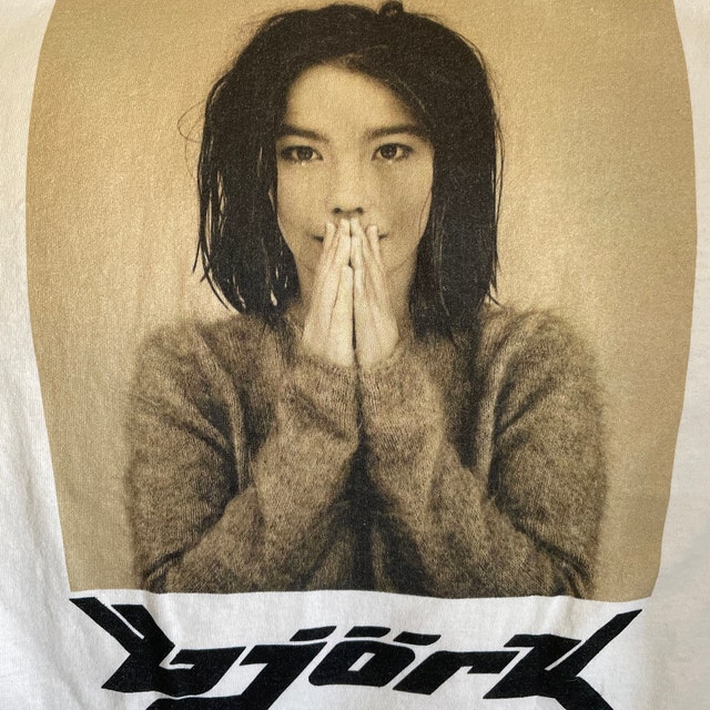 Bjork Debut Photograph Vintage Vibe T-shirt - Etsy