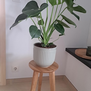 Silvia added a photo of their purchase