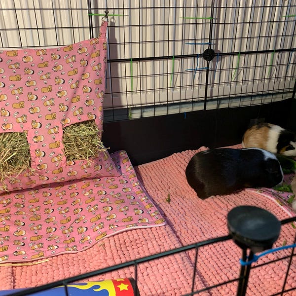Visual Reference: Large Hay Bag For Rabbits Large Hay Bag For Guinea
