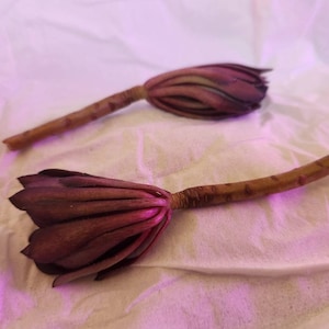 Vince added a photo of their purchase