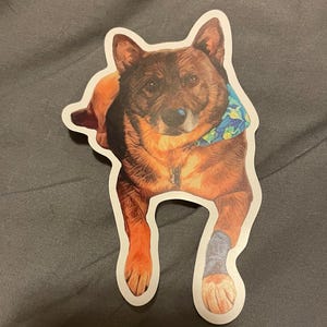Etsy buyer added a photo of their purchase