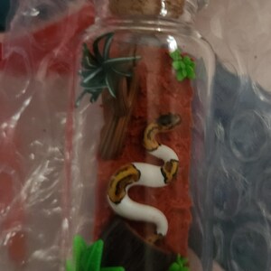 Abigail added a photo of their purchase