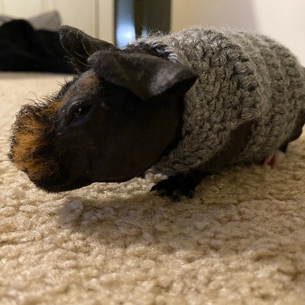 guinea-pig-clothes-guinea-pig-sweater-skinny-pig-sweater-small-pet