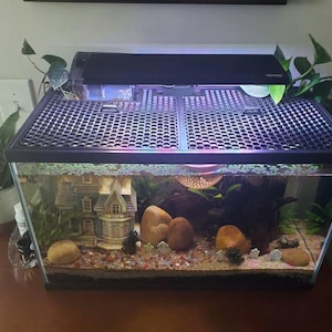 Emily added a photo of their purchase