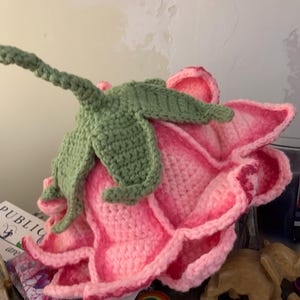 Annie added a photo of their purchase