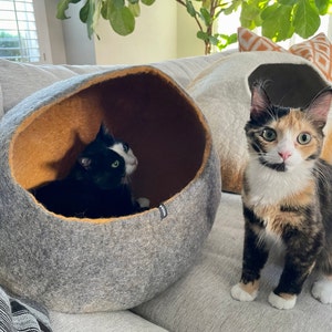 Taco top cat bed