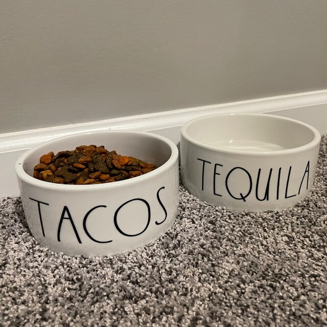 Tacos and Tequila Dog Bowls Funny Dog Gift Pet Food Bowl No Spill Heavy  Water Bowl Cat Bowls Personalized Dog Bowl Ceramic 6 or 7 White 1 