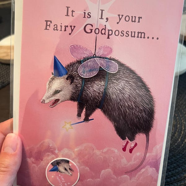 Funny Hedgehog Birthday Card – Cute Animal Greeting – Unique Woodland