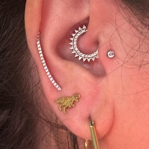 Customer photo, T-Rex Fossil Stud Earrings
