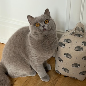 Susan added a photo of their purchase