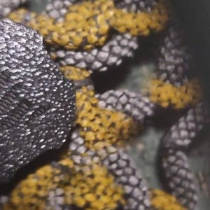 Borja ha añadido una foto de su compra