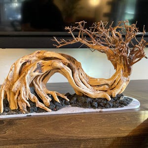流木盆栽水槽岩水景ハードスケープ植物水槽装飾 - Etsy 日本