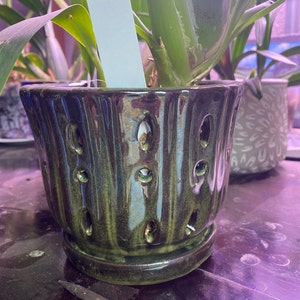 Emily added a photo of their purchase