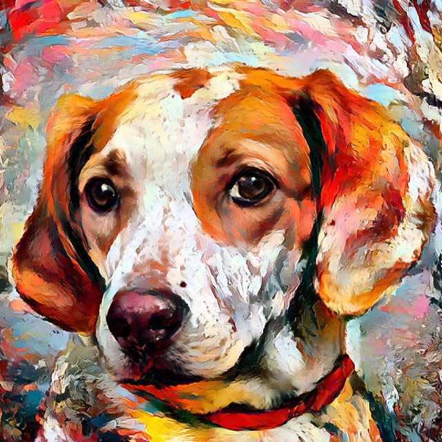 Pop Art Pet Portraits - Humane Society of Pinellas