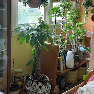 Stephen ha añadido una foto de su compra