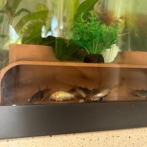 Kelly added a photo of their purchase
