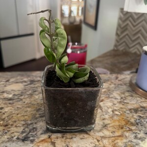 Sonya added a photo of their purchase