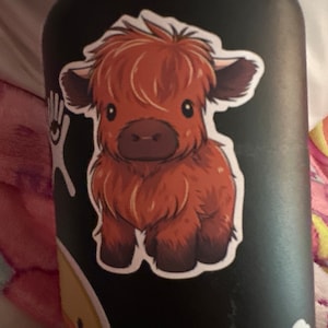 Isabel added a photo of their purchase