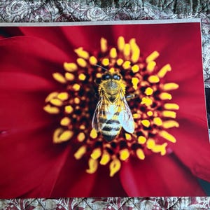 Etsy buyer added a photo of their purchase