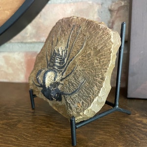 Kristin added a photo of their purchase