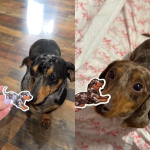 Macie added a photo of their purchase