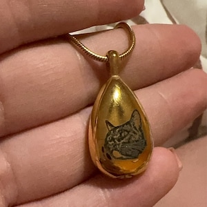 Savvy added a photo of their purchase