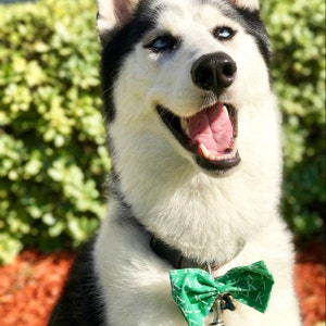 Maria heeft een foto van zijn/haar aankoop toegevoegd