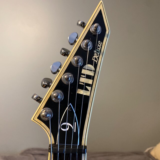 ギタートラスロッドカバー - カスタム刻印入り - ESP または LTD 用