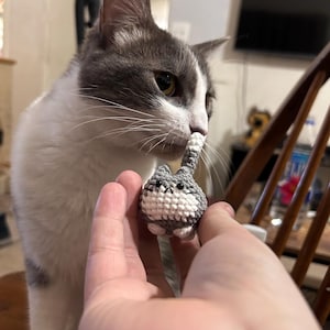 lindog added a photo of their purchase