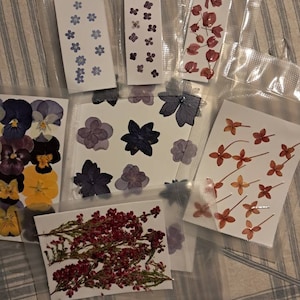 Benedetta added a photo of their purchase