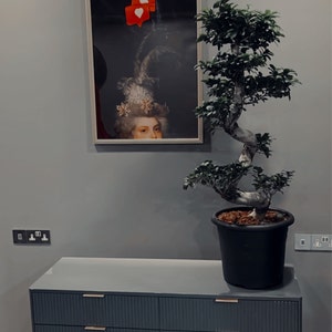 Andy added a photo of their purchase