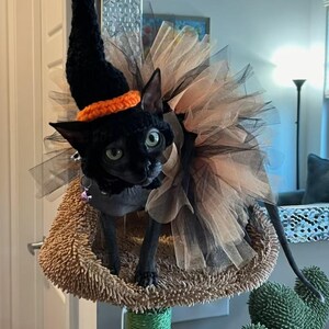 ANIAC Lustiger Katzenhut – Seestern-Kappe Aus Weichem Plüsch, Verstellbar, Für Kleine Hunde, Kaninchen & Kätzchen (Gelb)