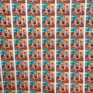 Etsy-koper heeft een foto van de aankoop toegevoegd